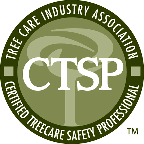 certified treecare safety professional